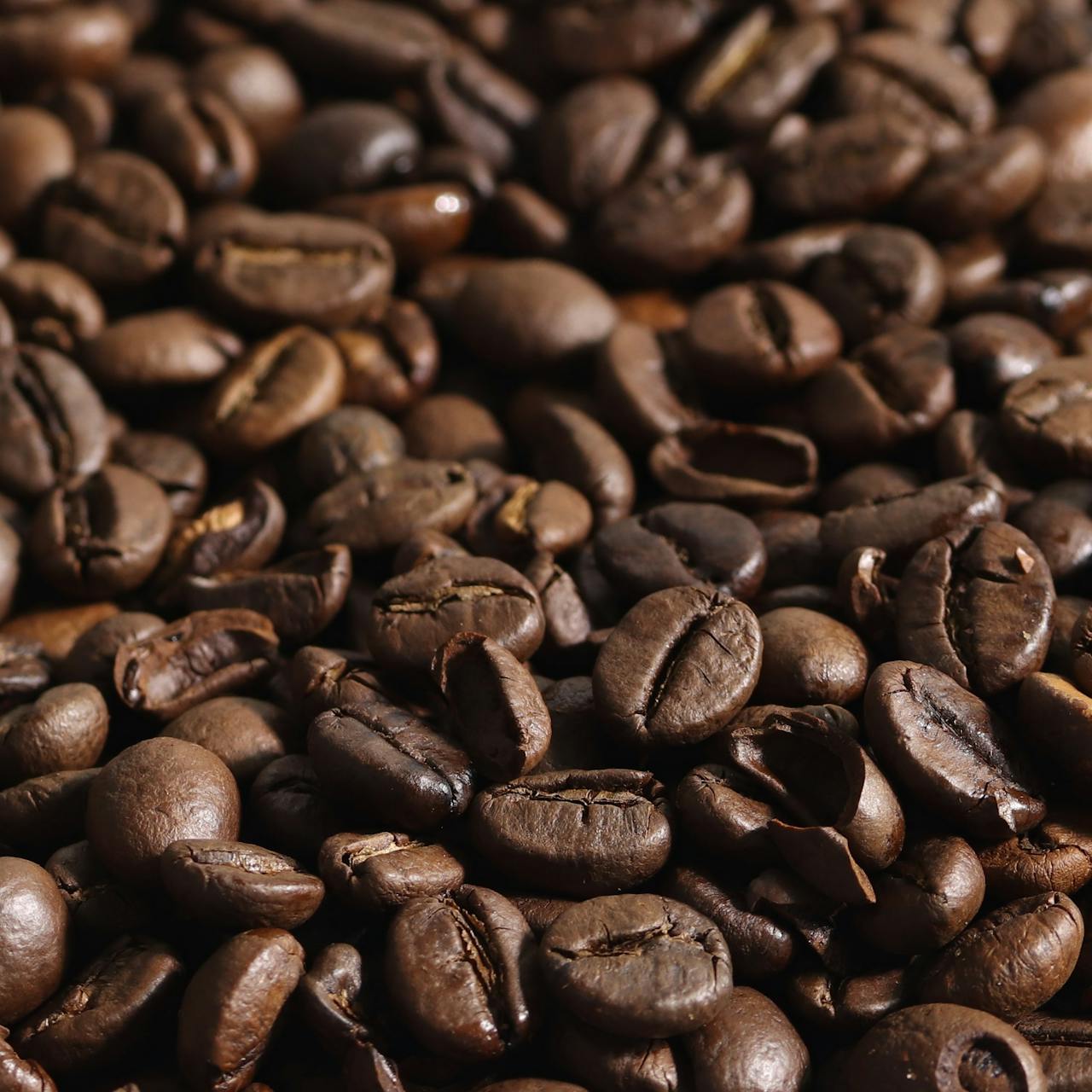 Friskristet kaffe fra eget kafferisteri