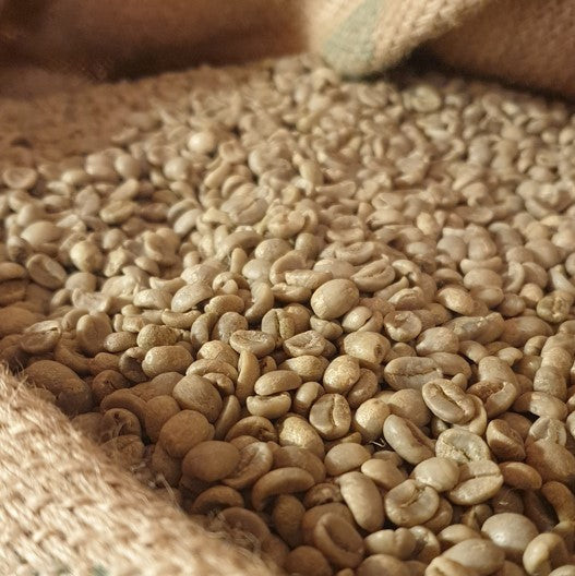 Rå grønne Nicaragua SHG kaffebønner i sæk