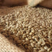 Rå grønne Nicaragua SHG kaffebønner i sæk