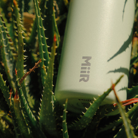 MiiR - 360 Traveler 350ml Termoflaske Coastal Cactus Grøn